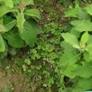 현제농장 이미지