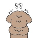 꼬망이펫샵 이미지