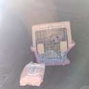 펫택시 | 펫택시 이용 후기 (단독운송)