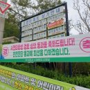 조양D·C 이미지