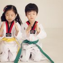 명문 태권도장 이미지