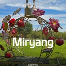 강변연가 | 밀양 여행 가볼만한곳 밀양 초동연가길 코스모스 후기