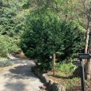 cu원주서곡점 이미지