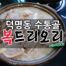 복드리오리