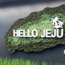 볼다 | [제주도] 볼다 듀플렉스 _ 가족여행 독채 펜션 후기