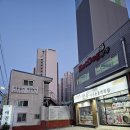 핫독애견백화점 이미지