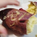 서아농장 이미지