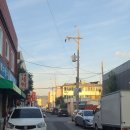 중독된냥 이미지