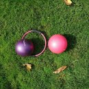 백야짐 앤 필라테스 이미지