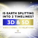 숨겨진 역사, 가야 이미지