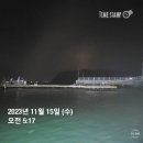 대야도항 피싱아일랜드선단 아일랜드호 광어 다운샷 낚시 후기 231115(9물)