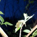 사선농장 이미지