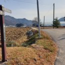 효석문학100리길 제2구간 이미지