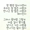 풀꽃향기