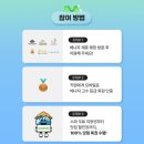 나트랑 마사지 추천 비교 시내 위치 예약 방법 초간단