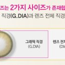 나렌즈(중앙로점) 이미지