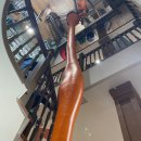 MAYFLOWER | 독서의 계절 가을맞이 5 | 네덜란드 서점 투어 2편 (feat. 타코야키 맛집)