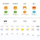 2025. 06. 12. 목요일