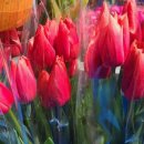 희민농장 이미지