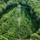 경상도의 힐링 명소로 떠나보세요. 이미지