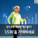 1530 이미지