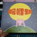 황금토끼 이미지