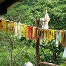 대성골1 이미지