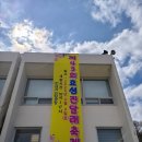 가야-17 | [오늘 17시 마감!] 안양 효성 진달래 축제 실시간 방문 후기 (지금 당장 가야 해요!)