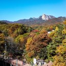 금선에너지 | 가을명품국립공원길7선, 산학연으로 여는 신산업의 미래2025산학연협력엑스포에서펼친다. 25년9월육아...