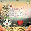 크로스핏 세종 | 결혼 관련 정보글만 쓰다가 퍽퍽해서 일상글을 써보겠어요