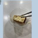슈베스터