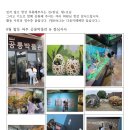 운정 6남매 가정 어린이 8월 활동 보고(2026년) 이미지