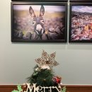 토니치킨 이미지