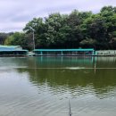 배양낚시터 | 물멍 낚시 (2025. 5. 24., 배양낚시터)