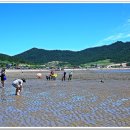 죽림어촌체험마을 이미지