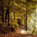 한국폴리텍 III 대학 강릉캠퍼스 이미지