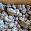 금성농약사 이미지