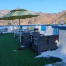 도그앤스테이 이미지