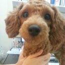 뮤동물병원 이미지