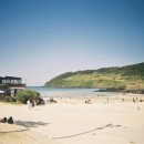 제주에 오길 잘했다 이미지