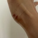 얼티밋 트레이닝 | 240327 - 0406 _ 얼티밋트레이닝 이수 와드 후기