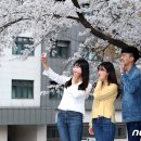 강원대 정문 - 강원대삼거리 이미지