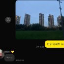 프롬하츠서울숲 | 잠수교 뚜벅뚜벅 축제 + 걷기로 다이어트 하는 일상