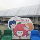 오삼~팜