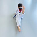 정문태권도 이미지