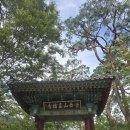 [땡처리특가]8월10일(일)여름향기 가득한 김천 ! 직지사 연화지 꽃밭 방초장 부항댐 출렁다리 이미지