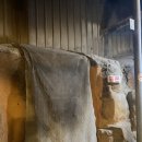 비슬산참숯굴찜질방 이미지