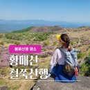 [황매산] 핑크빛 철쭉 카펫을 사뿐히 밟고온 듯, 봄꽃 산행 명소