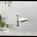 블루마린어린이전용수영장(논현점)