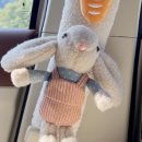 오토크루 이미지